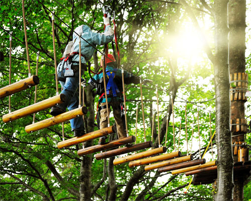 Adventure Activity & High Ropes Setup