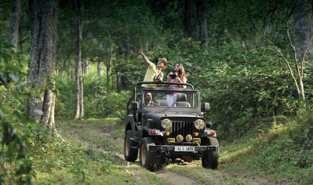 4X4 Jeep Safari