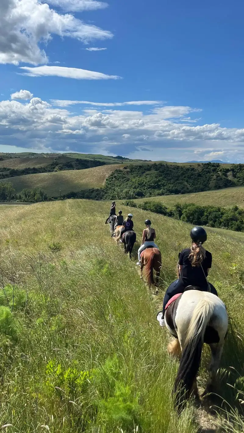 UB Riding Club Guidelines